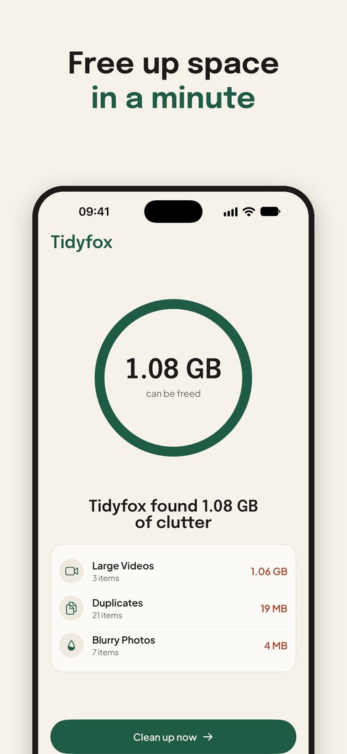 Tidyfox screenshot 1